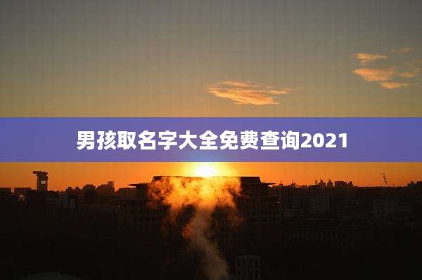 男孩取名字大全免费查询2021