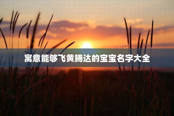 寓意能够飞黄腾达的宝宝名字大全