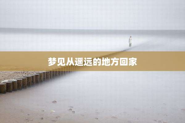 梦见从遥远的地方回家