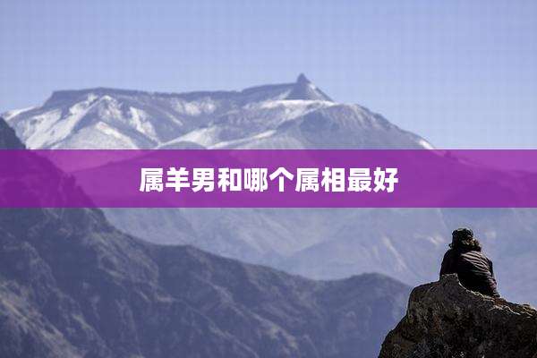 属羊男和哪个属相最好