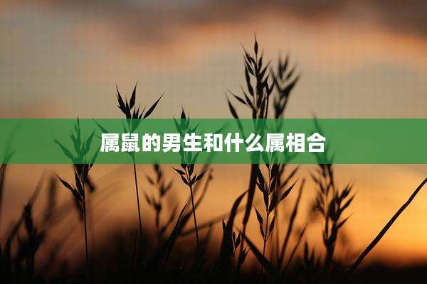 属鼠的男生和什么属相合
