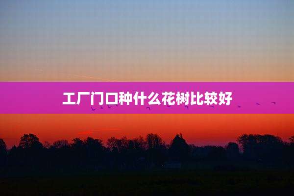工厂门口种什么花树比较好