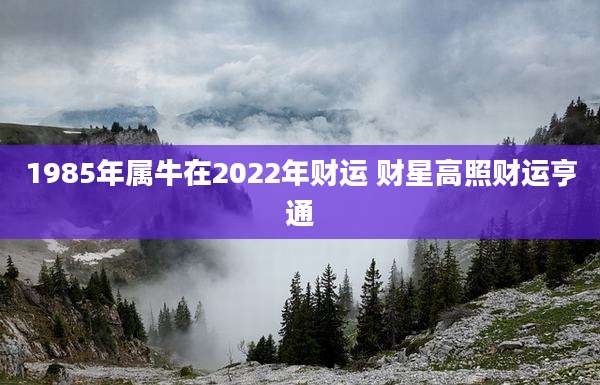1985年属牛在2022年财运 财星高照财运亨通