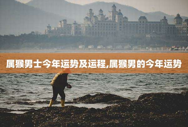 属猴男士今年运势及运程,属猴男的今年运势