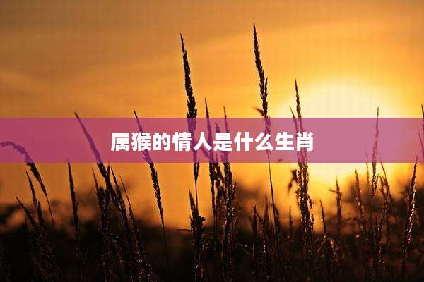 属猴的情人是什么生肖