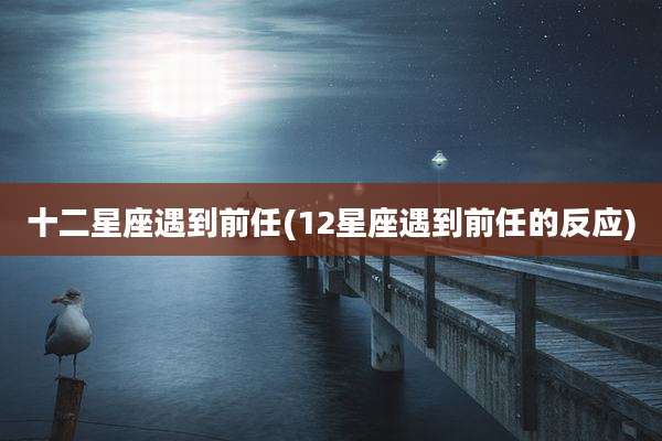 十二星座遇到前任(12星座遇到前任的反应)