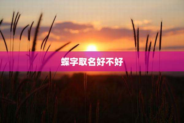 蝶字取名好不好