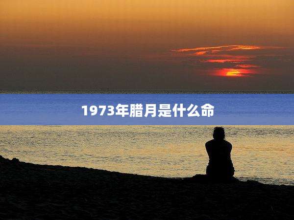 1973年腊月是什么命
