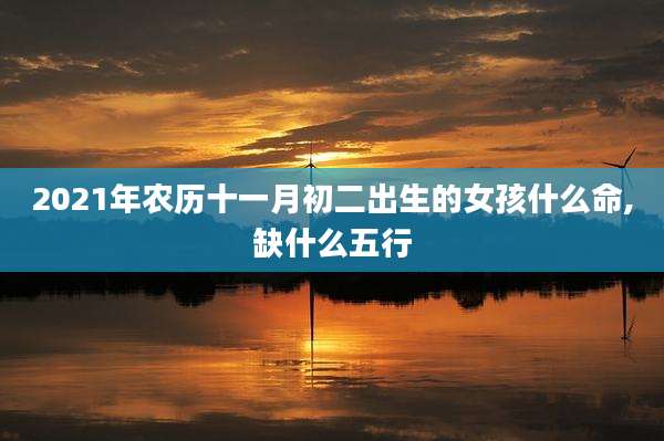 2021年农历十一月初二出生的女孩什么命,缺什么五行