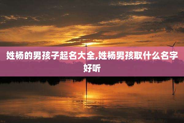 姓杨的男孩子起名大全,姓杨男孩取什么名字好听