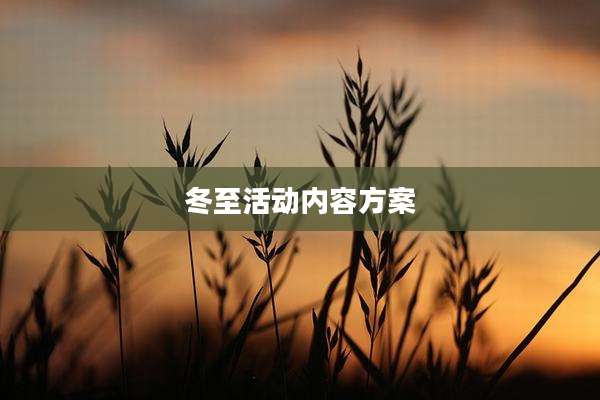 冬至活动内容方案