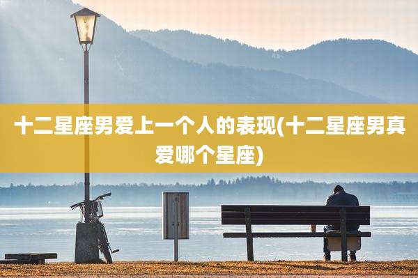 十二星座男爱上一个人的表现(十二星座男真爱哪个星座)
