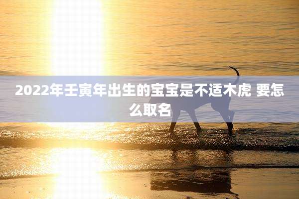 2022年壬寅年出生的宝宝是不适木虎 要怎么取名