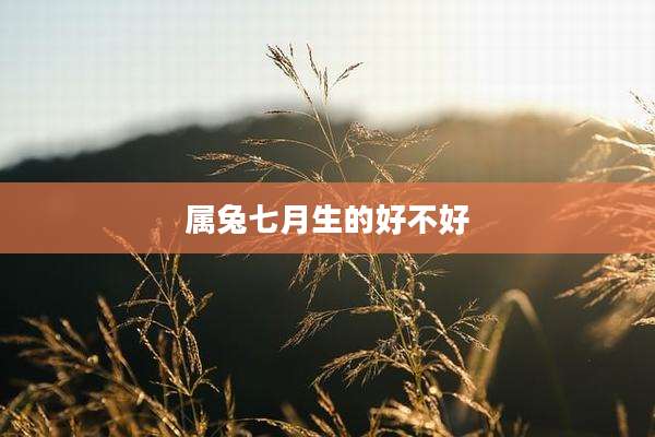 属兔七月生的好不好