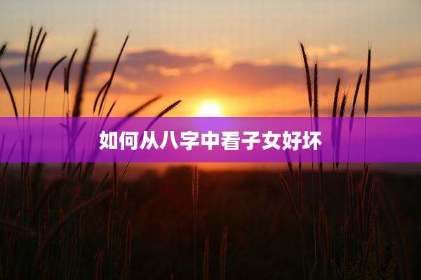 如何从八字中看子女好坏