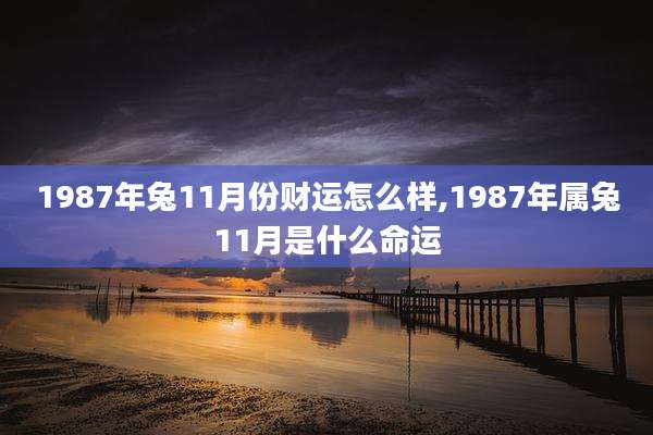 1987年兔11月份财运怎么样,1987年属兔11月是什么命运