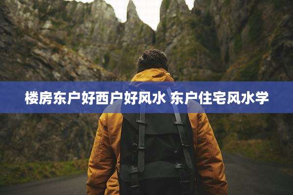楼房东户好西户好风水 东户住宅风水学