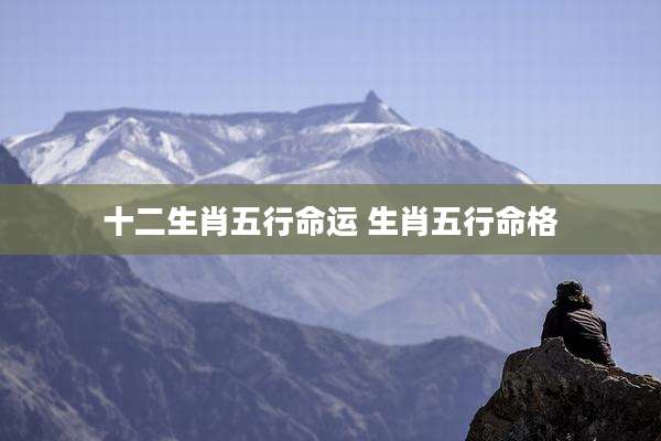 十二生肖五行命运 生肖五行命格