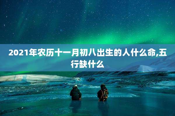 2021年农历十一月初八出生的人什么命,五行缺什么