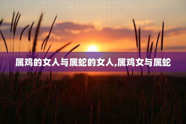 属鸡的女人与属蛇的女人,属鸡女与属蛇