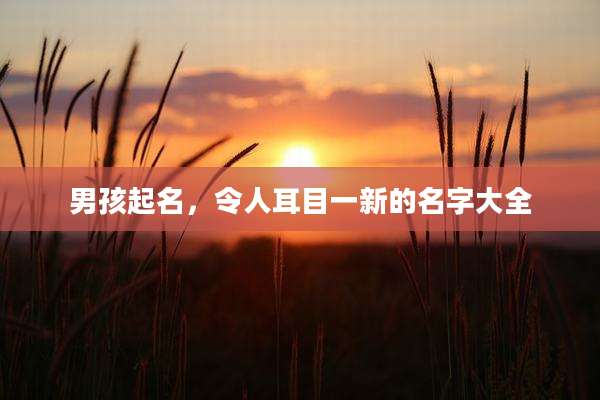 男孩起名，令人耳目一新的名字大全