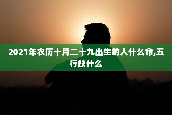 2021年农历十月二十九出生的人什么命,五行缺什么