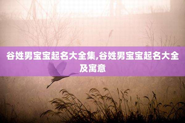 谷姓男宝宝起名大全集,谷姓男宝宝起名大全及寓意