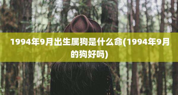 1994年9月出生属狗是什么命(1994年9月的狗好吗)