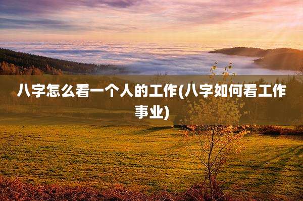 八字怎么看一个人的工作(八字如何看工作事业)