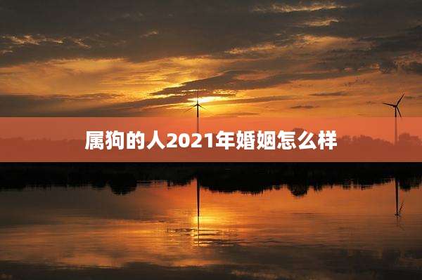属狗的人2021年婚姻怎么样