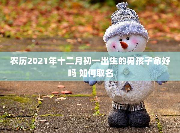 农历2021年十二月初一出生的男孩子命好吗 如何取名