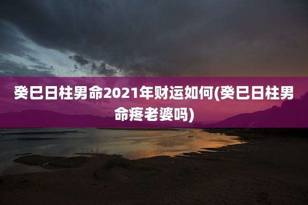 癸巳日柱男命2021年财运如何(癸巳日柱男命疼老婆吗)