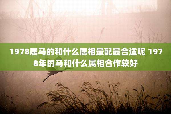 1978属马的和什么属相最配最合适呢 1978年的马和什么属相合作较好
