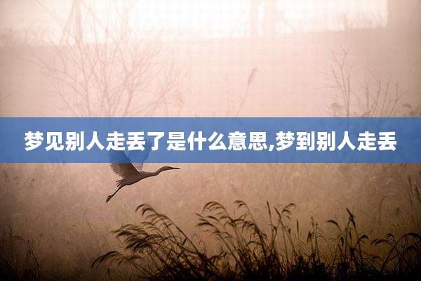 梦见别人走丢了是什么意思,梦到别人走丢
