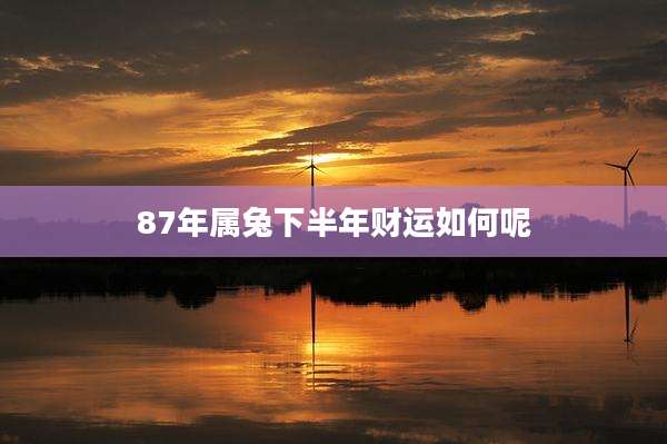 87年属兔下半年财运如何呢