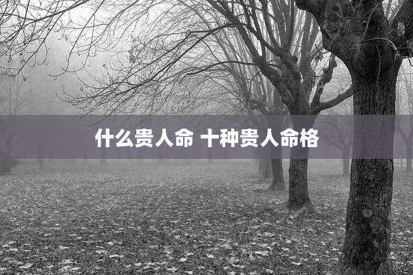 什么贵人命 十种贵人命格