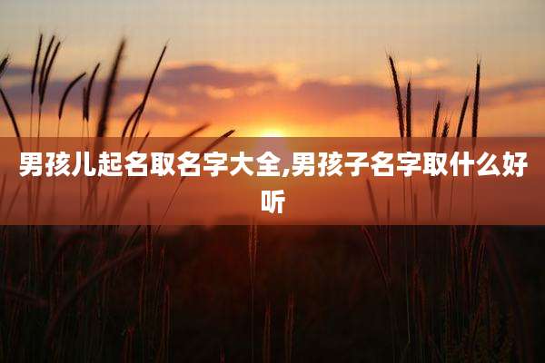 男孩儿起名取名字大全,男孩子名字取什么好听