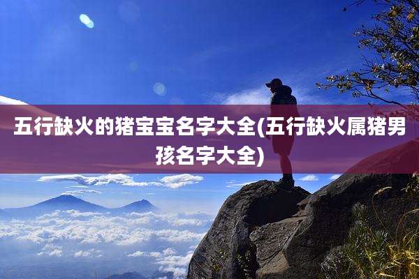 五行缺火的猪宝宝名字大全(五行缺火属猪男孩名字大全)