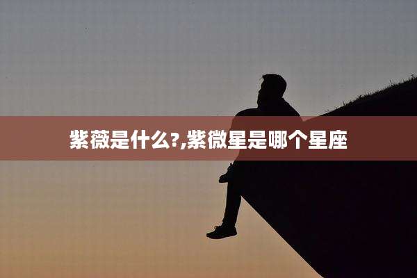 紫薇是什么?,紫微星是哪个星座