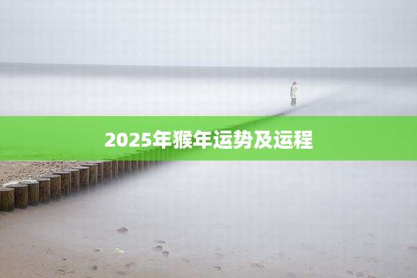 2025年猴年运势及运程
