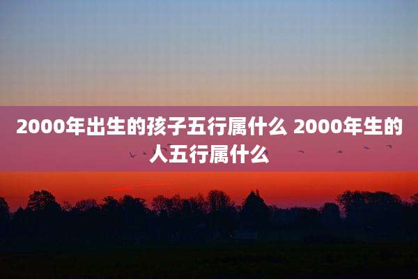 2000年出生的孩子五行属什么 2000年生的人五行属什么