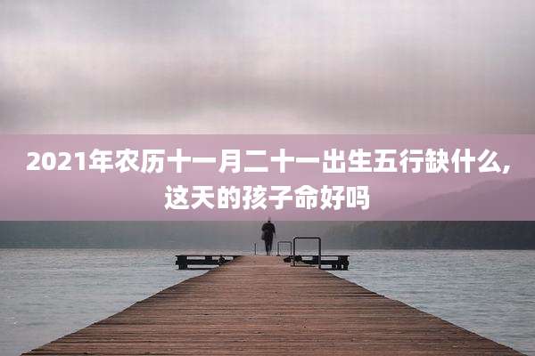 2021年农历十一月二十一出生五行缺什么,这天的孩子命好吗