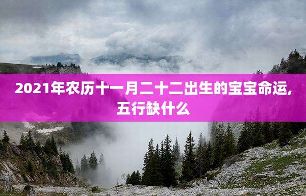 2021年农历十一月二十二出生的宝宝命运,五行缺什么