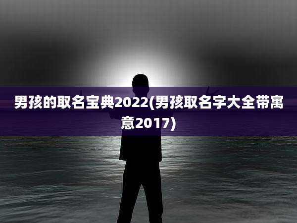 男孩的取名宝典2022(男孩取名字大全带寓意2017)