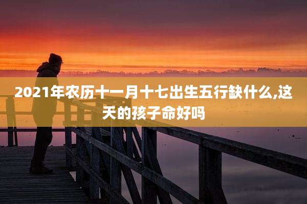 2021年农历十一月十七出生五行缺什么,这天的孩子命好吗