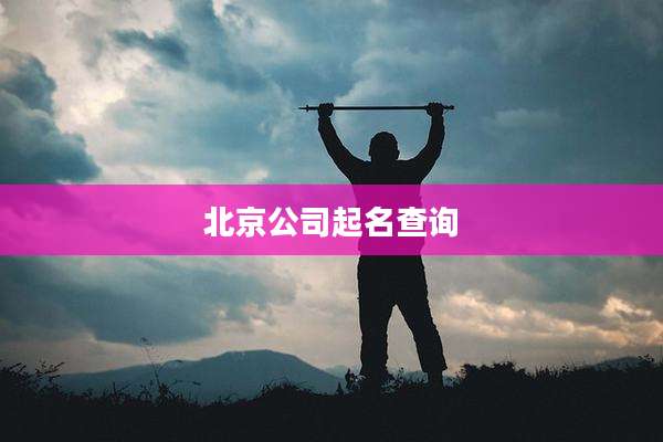北京公司起名查询