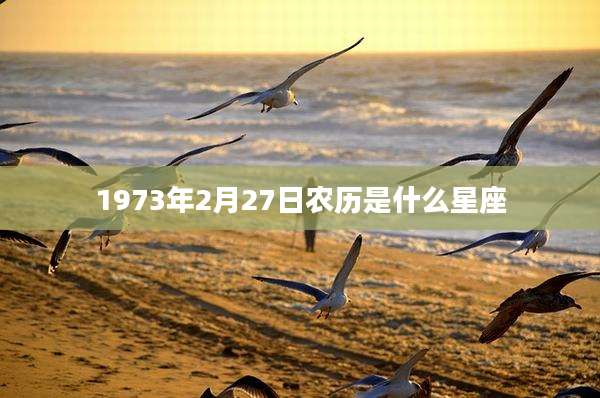 1973年2月27日农历是什么星座
