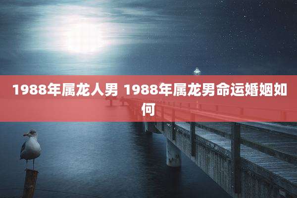 1988年属龙人男 1988年属龙男命运婚姻如何