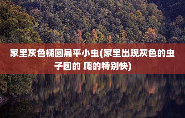 家里灰色椭圆扁平小虫(家里出现灰色的虫子圆的 爬的特别快)