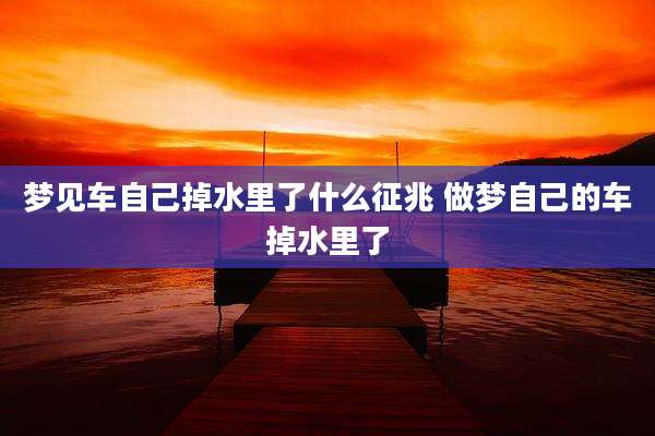 梦见车自己掉水里了什么征兆 做梦自己的车掉水里了